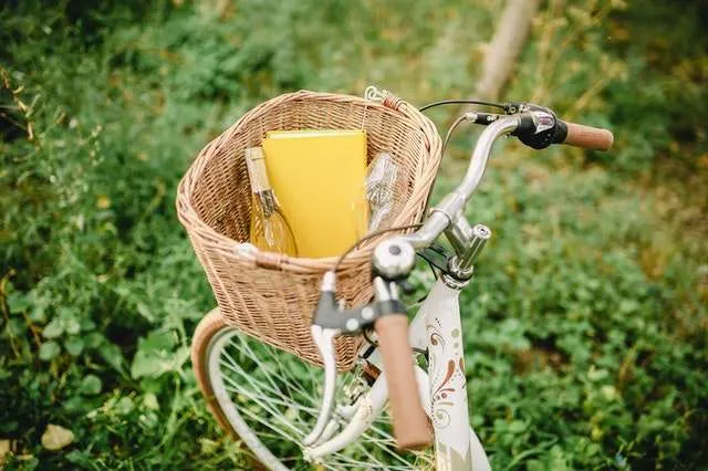White wine and book in bicycle basket