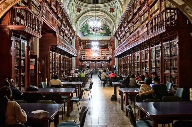 People studying in a library