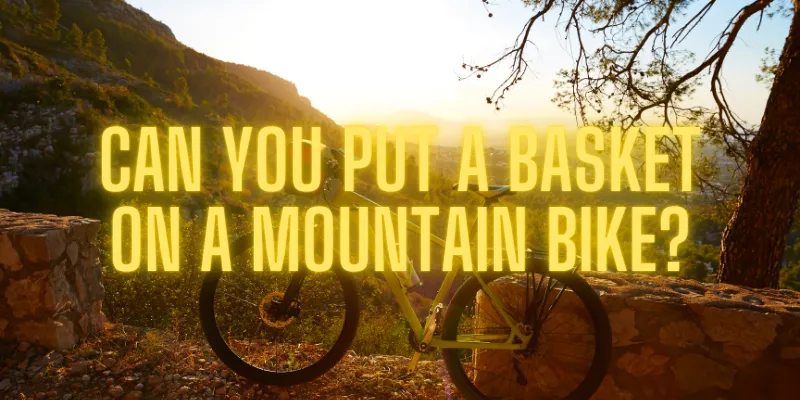 can you put a basket on a mountain bike