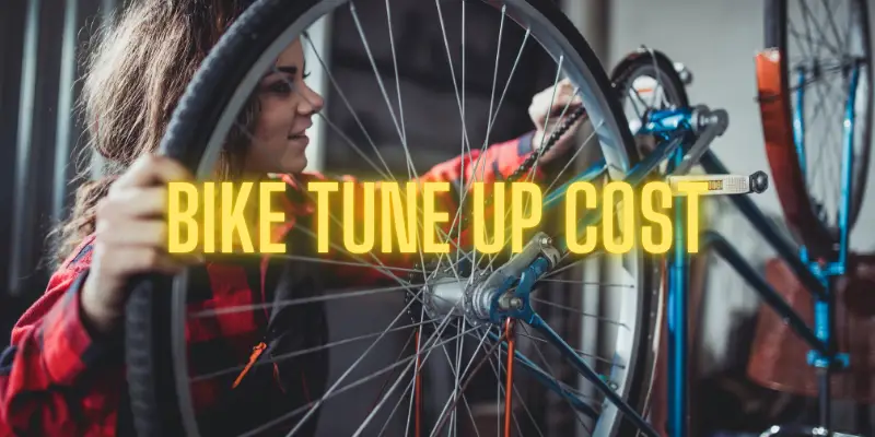 bike tune up cost