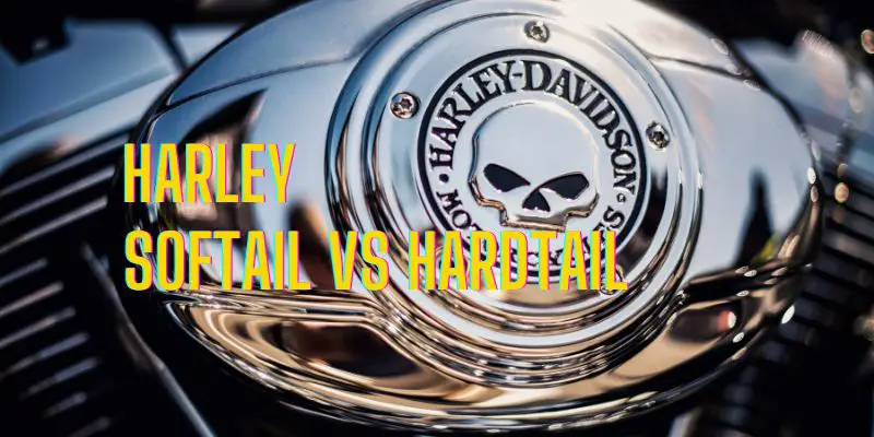 harley softail vs hardtail